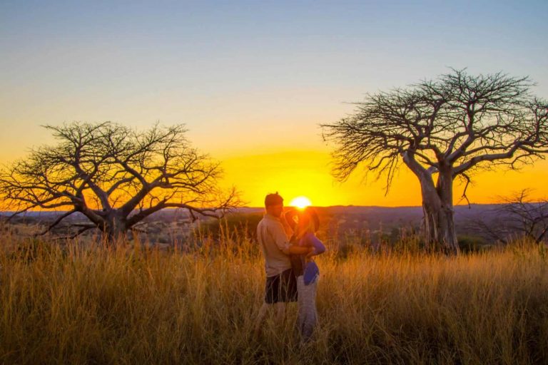 Baobabs-in-Ruaha-National-Park-e1510490514698