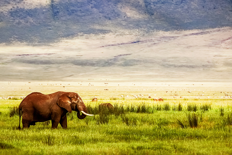 Ngorongoro-Crater