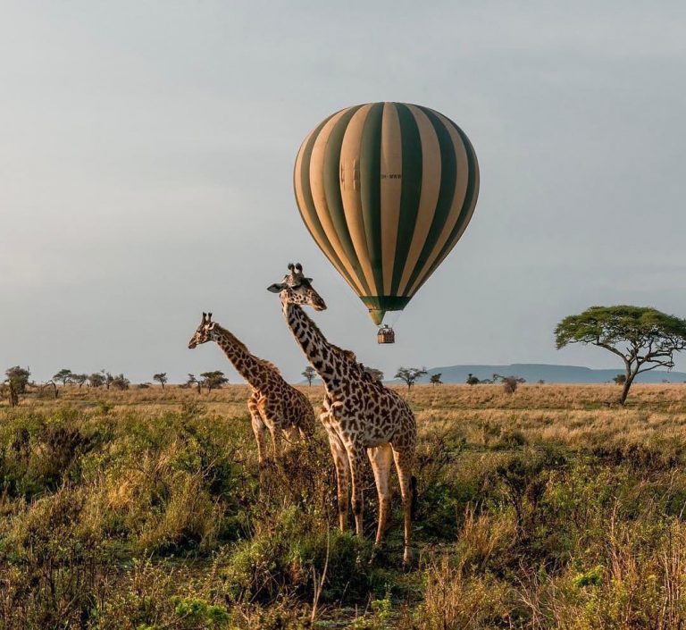 Serengeti-park-tanzania